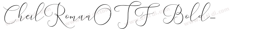 CheilRomanOTF Bold字体转换